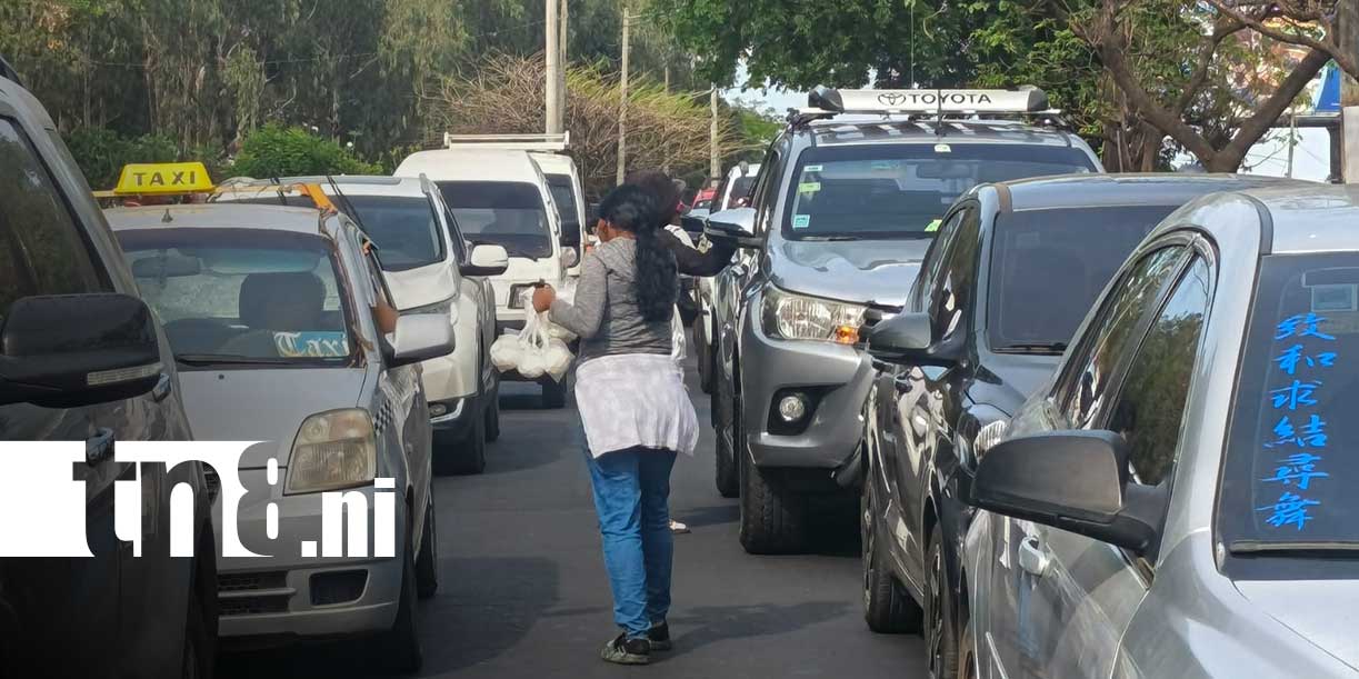 Foto: Agua de coco, el alivio natural ante el intenso calor en Managua/TN8