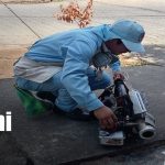 Foto: Brigadas de salud frenan el dengue en Managua/ TN8