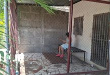 Entre lágrimas y desesperación: padres piden ayuda para su hija con esquizofrenia Foto: Padres claman ayuda para su hija con esquizofrenia /TN8