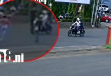 Revelan video del trágico atropello que cobró la vida de una mujer en Linda Vista Foto: Sale a la luz impactante video del atropello mortal en Linda Vista /Cortesía