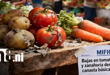Canasta básica: Bajó el tomate, papa y la zanahoria esta semana Foto: Bajan algunos precios en la canasta básica de Nicaragua