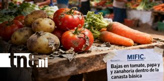 Foto: Bajan algunos precios en la canasta básica de Nicaragua