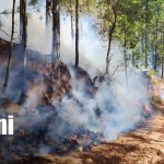 Foto: Incendio en bosques de San José de Cusmapa, en Madriz / TN8