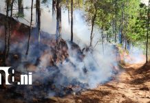 Trabajo titánico para controlar incendio forestal en bosques de San José de Cusmapa, Madriz Foto: Incendio en bosques de San José de Cusmapa, en Madriz / TN8
