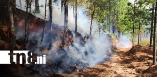 Foto: Incendio en bosques de San José de Cusmapa, en Madriz / TN8