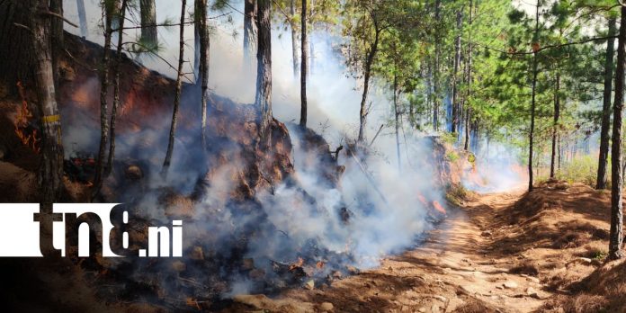 Foto: Incendio en bosques de San José de Cusmapa, en Madriz / TN8 Foto: Incendio en bosques de San José de Cusmapa, en Madriz / TN8