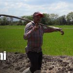 Foto: Diversificación de cultivos y producción en Matagalpa / TN8