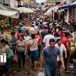 MIFIC destaca baja en precios de productos básicos en mercados de Nicaragua Foto: Sondeo de productos en la canasta básica de Nicaragua / TN8