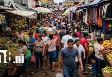 MIFIC destaca baja en precios de productos básicos en mercados de Nicaragua Foto: Sondeo de productos en la canasta básica de Nicaragua / TN8