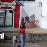 Foto: Dog Nicolás Resort, un lugar de lujo para las mascotas / TN8