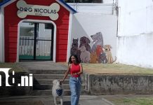 ¿Amás a tu perri-hijo? Conocé la vida de reyes que brinda Dog Nicolás Resort Foto: Dog Nicolás Resort, un lugar de lujo para las mascotas / TN8