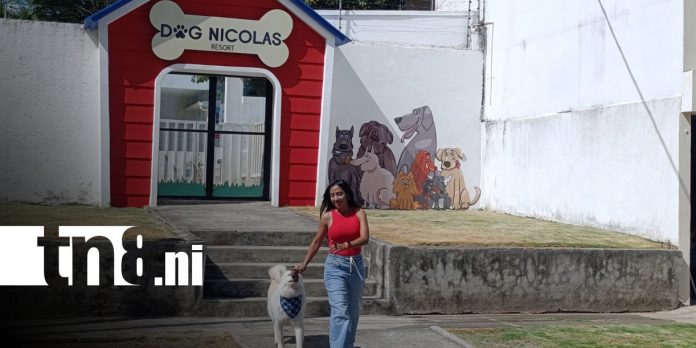 Foto: Dog Nicolás Resort, un lugar de lujo para las mascotas / TN8