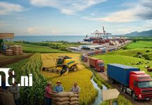 MIFIC Nicaragua proyecta continuidad de cifras históricas en exportaciones para 2026 Foto: Producción y economía con perspectivas de crecimiento en Nicaragua / TN8