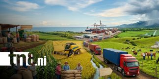 Foto: Producción y economía con perspectivas de crecimiento en Nicaragua / TN8