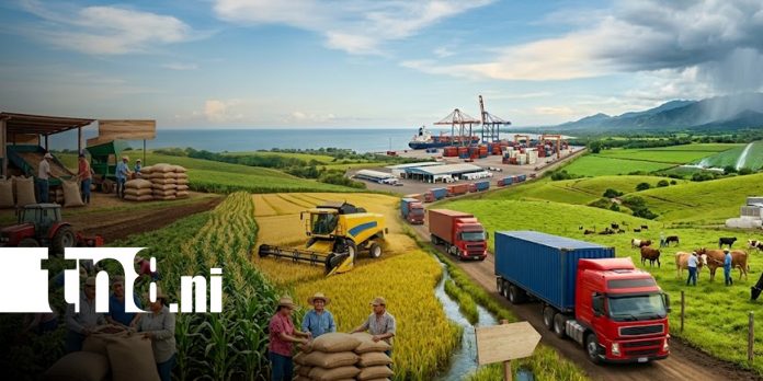 Foto: Producción y economía con perspectivas de crecimiento en Nicaragua / TN8