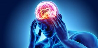 Foto: Estudio alerta sobre efectos del estrés en el cerebro /Cortesía
