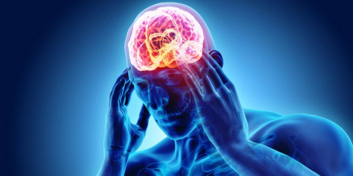 Foto: Estudio alerta sobre efectos del estrés en el cerebro /Cortesía Foto: Estudio alerta sobre efectos del estrés en el cerebro /Cortesía