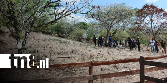 Foto: Hallan cuerpo de un joven en un potrero al norte de Estelí / TN8