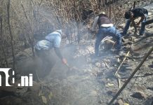 Logran sofocar incendio forestal registrado en San José de Cusmapa, Madriz Foto: Incendios forestales en Madriz / TN8