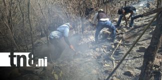 Foto: Incendios forestales en Madriz / TN8