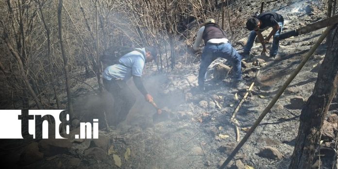 Foto: Incendios forestales en Madriz / TN8