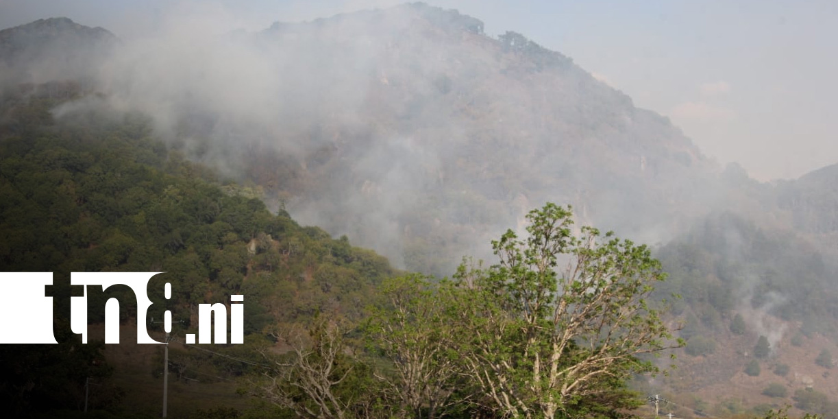 Foto: Incendios forestales en Madriz / TN8