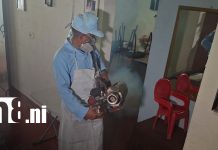 Brigadas del MINSA atienden más de 800 viviendas en el Distrito V de Managua Foto: Fumigación y abatización en Managua, Nicaragua / TN8