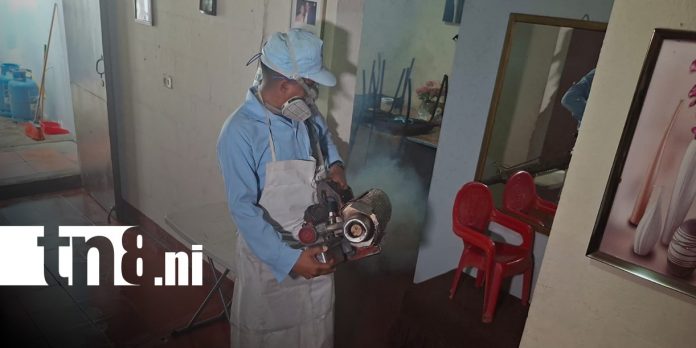 Foto: Fumigación y abatización en Managua, Nicaragua / TN8 Foto: Fumigación y abatización en Managua, Nicaragua / TN8