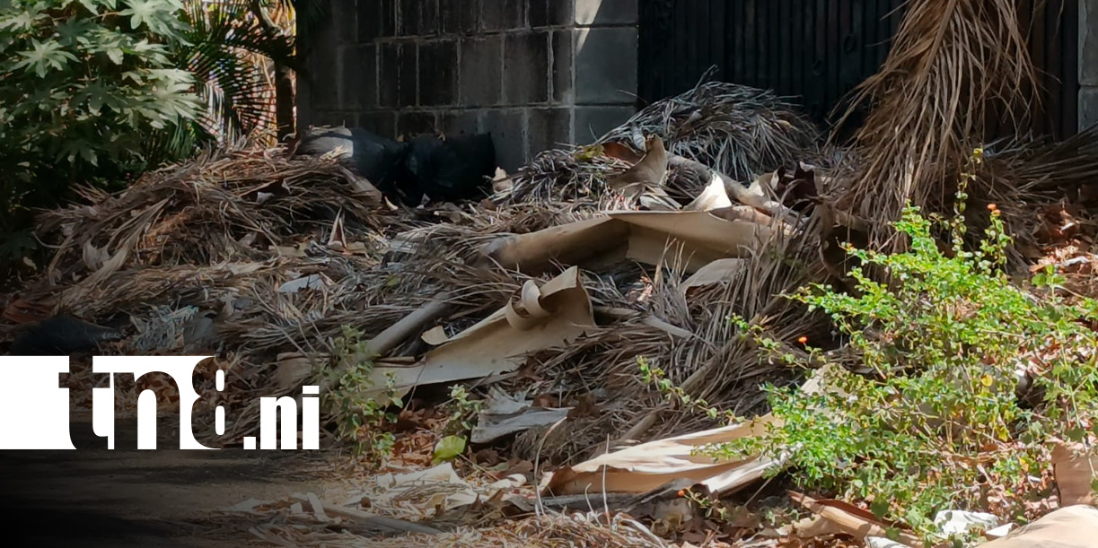 Foto: Denuncian a "la mansión de la basura" en Lomas de Veracruz, Managua / TN8
