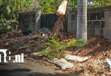 Conozca la «Mansión de la basura»: Denuncian foco de contaminación en Lomas de Veracruz Foto: Denuncian a "la mansión de la basura" en Lomas de Veracruz, Managua / TN8