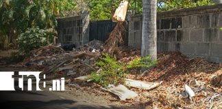 Foto: Denuncian a "la mansión de la basura" en Lomas de Veracruz, Managua / TN8