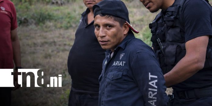 Foto: Captura de presunto violador en Siuna / TN8 Foto: Captura de presunto violador en Siuna / TN8