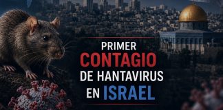 Foto: Israel confirma su primer caso de hantavirus importado desde Europa del Este /Cortesía