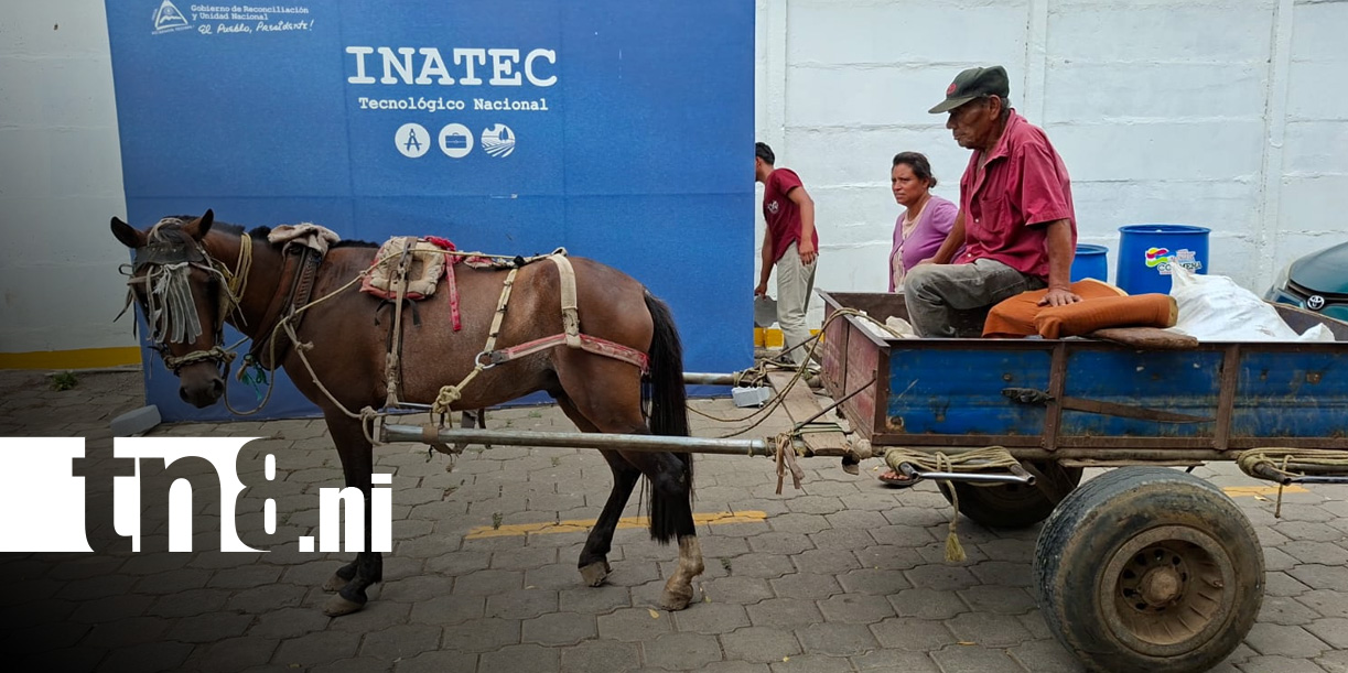 Foto: INATEC: Estudiantes Técnicos Agropecuarios desarrollan Jornada de Sanidad Equina / TN8