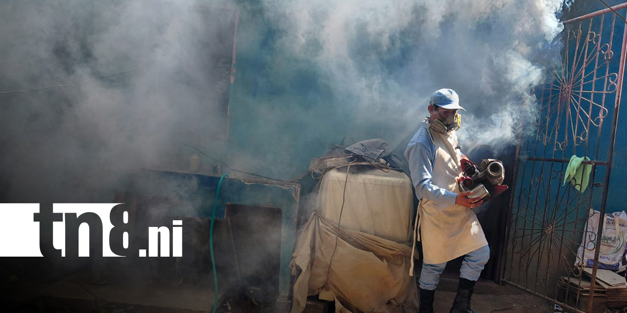 Foto: Fumigación y abatización en Managua / TN8