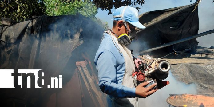 Foto: Fumigación y abatización en Managua / TN8