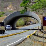 Foto: Paso de fauna en Carretera Costanera de Nicaragua