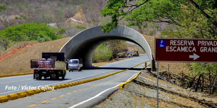 Foto: Paso de fauna en Carretera Costanera de Nicaragua