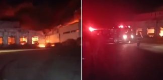 Foto: Voraz incendio consume una fábrica avícola en México /Cortesía