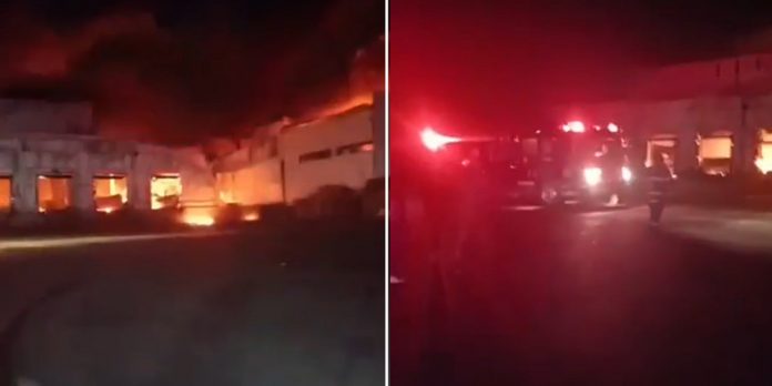 Foto: Voraz incendio consume una fábrica avícola en México /Cortesía Foto: Voraz incendio consume una fábrica avícola en México /Cortesía