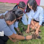 Foto: Jornada ambiental en Universidad Sandino, de Managua / TN8