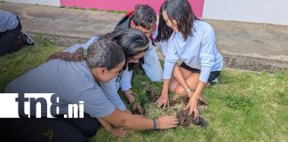 Foto: Jornada ambiental en Universidad Sandino, de Managua / TN8