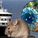 Foto: Caso de hantavirus en pasajero estadounidense activa operativo de emergencia /Cortesía