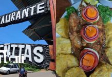 Ometepe fortalece su turismo con la apertura del Restaurante Las Peñitas Foto: Ometepe estrena nueva joya gastronómica: Restaurante Las Peñitas /TN8