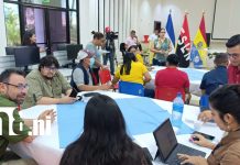 Juventud universitaria impulsa la historia y la identidad nacional con nuevo taller Foto: Taller promueve la identidad cultural y la historia desde las aulas /TN8