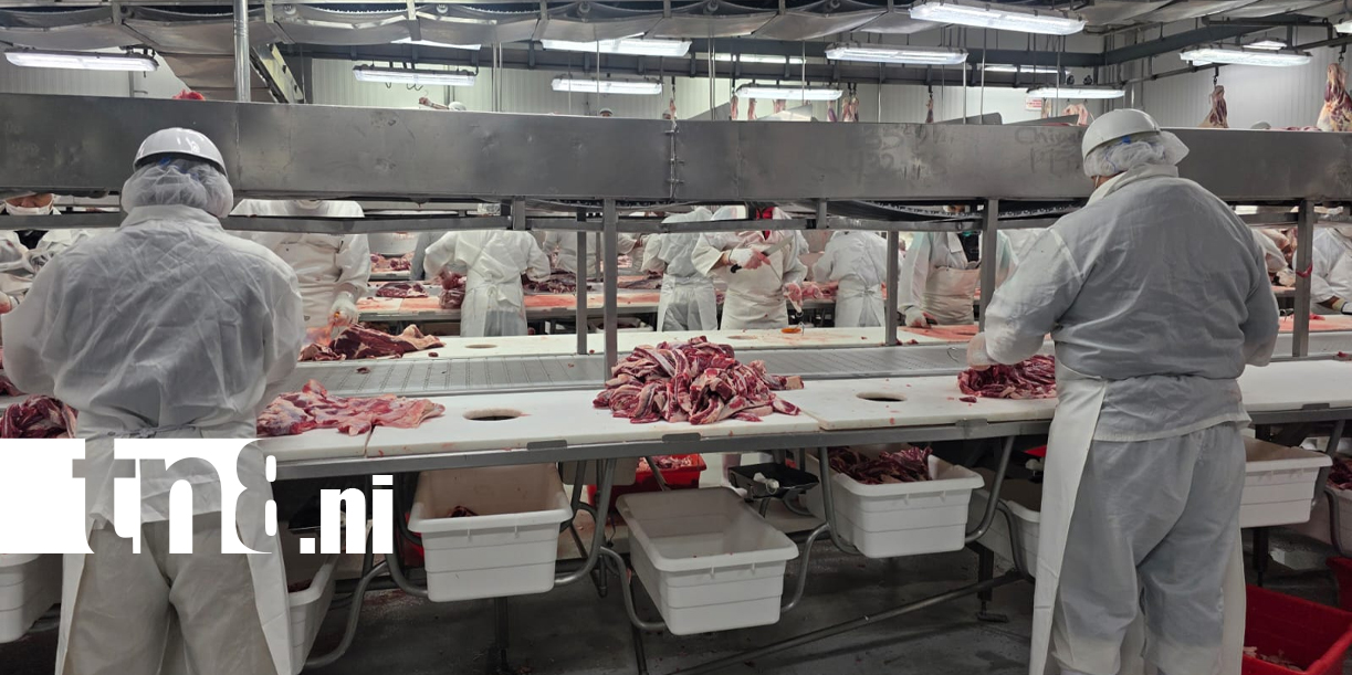 Foto: Matadero San Martín proyecta mayor producción y expansión comercial /TN8