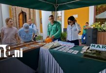 Foto: Avances en gestión ambiental y educación en Granada/TN8