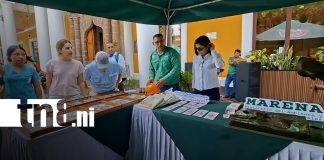 Foto: Avances en gestión ambiental y educación en Granada/TN8