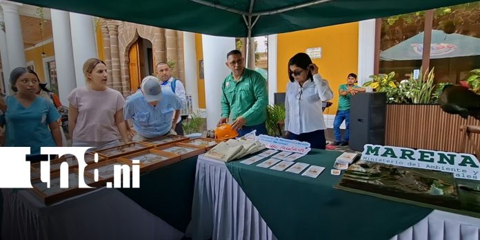 Foto: Avances en gestión ambiental y educación en Granada/TN8