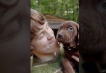 Scooby-Doo rompe la tradición: así luce el adorable perro de acción real Foto: Netflix revela al primer Scooby-Doo real/Cortesía